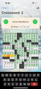 Crossword solving screen - Artisans 3D